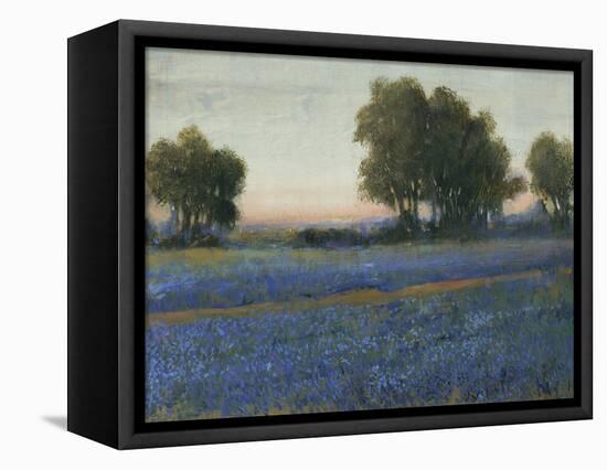 Blue Bonnet Field II-Tim O'toole-Framed Stretched Canvas