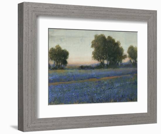 Blue Bonnet Field II-Tim O'toole-Framed Art Print