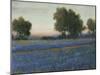 Blue Bonnet Field II-Tim O'toole-Mounted Art Print