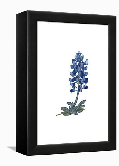 Blue Bonnet - Icon-Lantern Press-Framed Stretched Canvas