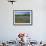 Blue Bonnets and Indian Paintbrush with Oak Trees in Distance, Near Independence, Texas, USA-Darrell Gulin-Framed Photographic Print displayed on a wall