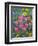 Blue Bonnets, Arnica, and Indian Paintbrush, Near Cuero, Texas, USA-Darrell Gulin-Framed Photographic Print