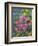 Blue Bonnets, Arnica, and Indian Paintbrush, Near Cuero, Texas, USA-Darrell Gulin-Framed Photographic Print