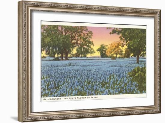 Blue Bonnets, State Flower of Texas-null-Framed Art Print