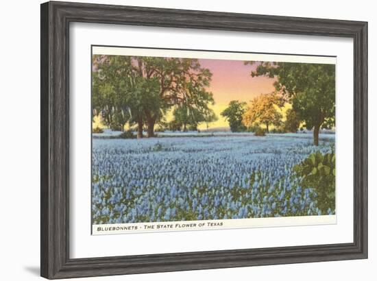 Blue Bonnets, State Flower of Texas-null-Framed Art Print