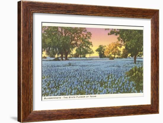 Blue Bonnets, State Flower of Texas-null-Framed Art Print