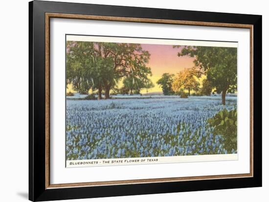 Blue Bonnets, State Flower of Texas-null-Framed Art Print