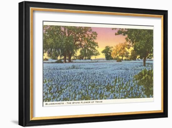 Blue Bonnets, State Flower of Texas-null-Framed Art Print