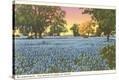 Stretched Canvas Print