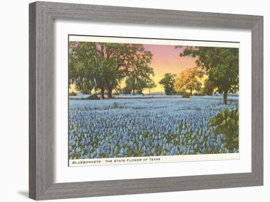 Blue Bonnets, State Flower of Texas-null-Framed Premium Giclee Print