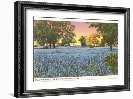 Blue Bonnets, State Flower of Texas-null-Framed Premium Giclee Print