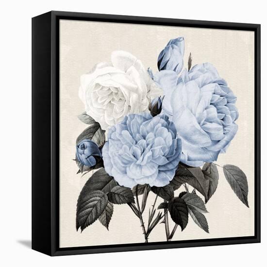 Blue Botanical Arrangement I-Kelly Donovan-Framed Stretched Canvas