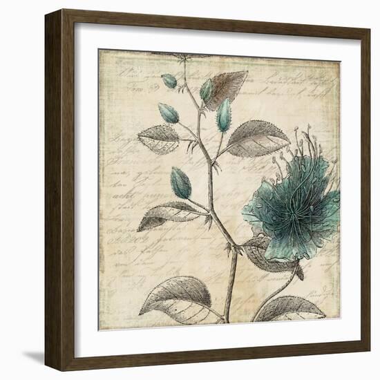 Blue Botanical II-Anna Polanski-Framed Art Print