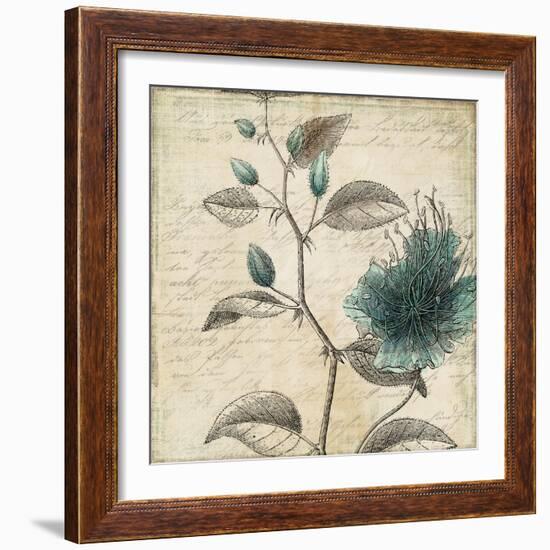 Blue Botanical II-Anna Polanski-Framed Art Print