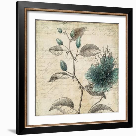 Blue Botanical II-Anna Polanski-Framed Art Print