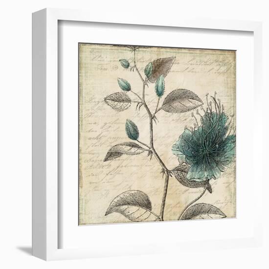 Blue Botanical II-Anna Polanski-Framed Art Print