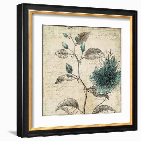 Blue Botanical II-Anna Polanski-Framed Art Print