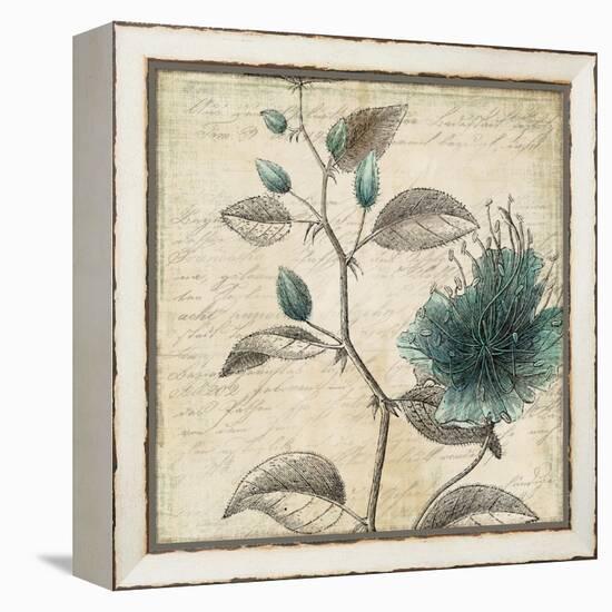 Blue Botanical II-Anna Polanski-Framed Stretched Canvas