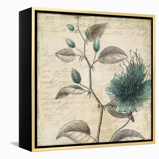 Blue Botanical II-Anna Polanski-Framed Stretched Canvas