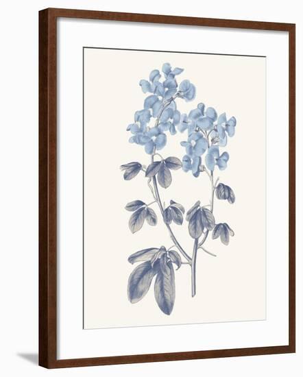 Blue Botanical III-Wild Apple Portfolio-Framed Art Print