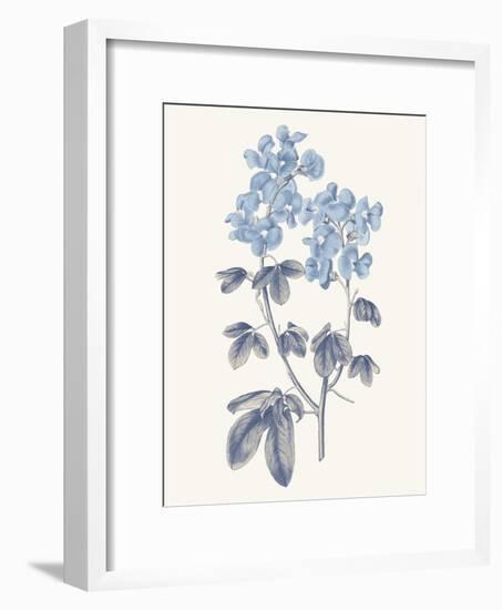 Blue Botanical III-Wild Apple Portfolio-Framed Art Print