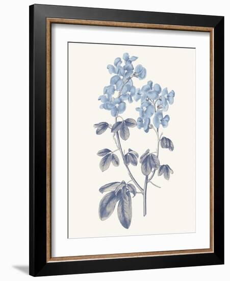 Blue Botanical III-Wild Apple Portfolio-Framed Art Print