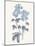 Blue Botanical III-Wild Apple Portfolio-Mounted Art Print