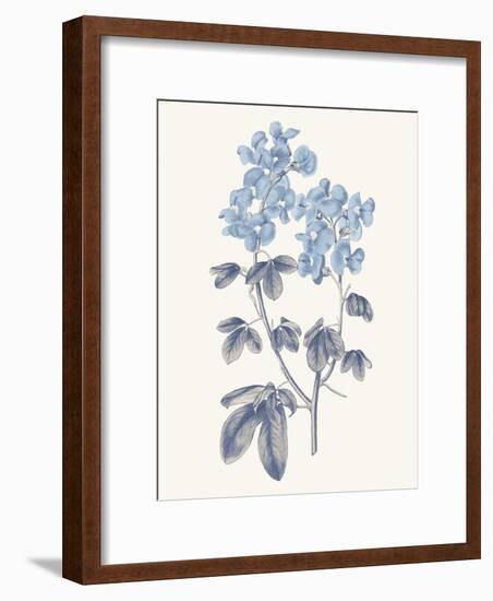 Blue Botanical III-Wild Apple Portfolio-Framed Art Print