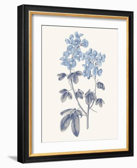 Blue Botanical III-Wild Apple Portfolio-Framed Art Print