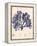 Blue Botanical Study I-Kimberly Poloson-Framed Stretched Canvas