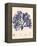 Blue Botanical Study I-Kimberly Poloson-Framed Stretched Canvas