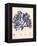 Blue Botanical Study I-Kimberly Poloson-Framed Stretched Canvas
