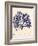 Blue Botanical Study I-Kimberly Poloson-Framed Art Print