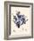 Blue Botanical Study II-Kimberly Poloson-Framed Art Print