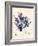 Blue Botanical Study II-Kimberly Poloson-Framed Art Print