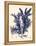 Blue Botanical Study IV-Kimberly Poloson-Framed Stretched Canvas