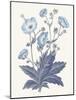 Blue Botanical VI-Wild Apple Portfolio-Mounted Art Print