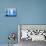 Blue Bottles-Luzia Ellert-Photographic Print displayed on a wall