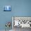 Blue Bottles-Luzia Ellert-Mounted Photographic Print displayed on a wall