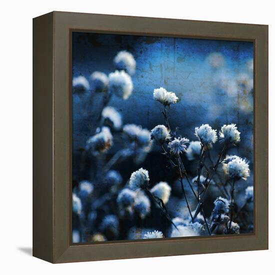 Blue Bouquet-Philippe Sainte-Laudy-Framed Premier Image Canvas