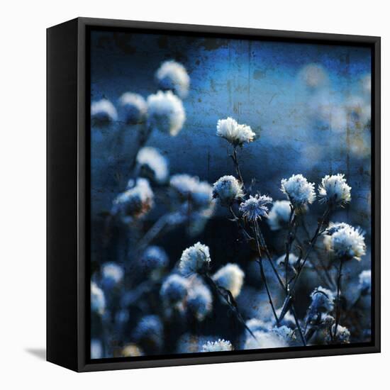 Blue Bouquet-Philippe Sainte-Laudy-Framed Premier Image Canvas