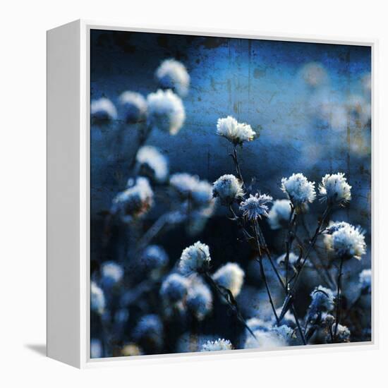 Blue Bouquet-Philippe Sainte-Laudy-Framed Premier Image Canvas