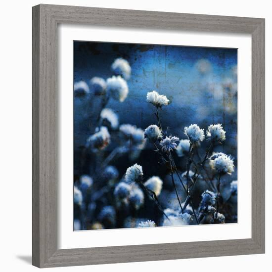 Blue Bouquet-Philippe Sainte-Laudy-Framed Photographic Print