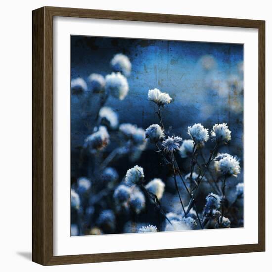 Blue Bouquet-Philippe Sainte-Laudy-Framed Photographic Print