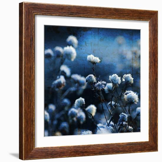 Blue Bouquet-Philippe Sainte-Laudy-Framed Photographic Print