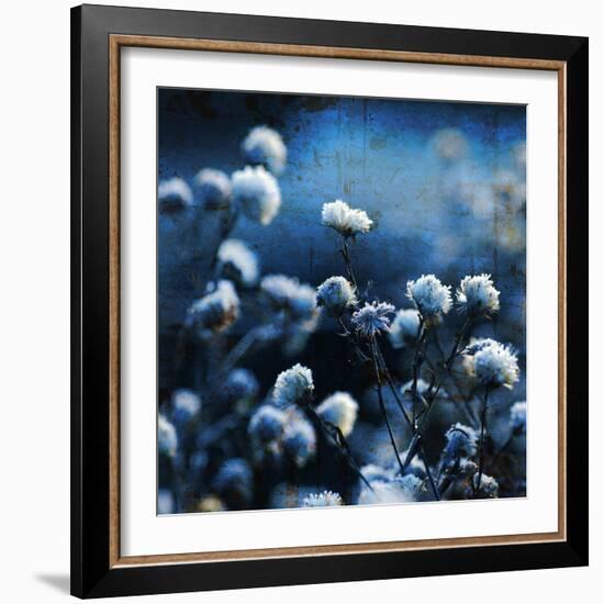 Blue Bouquet-Philippe Sainte-Laudy-Framed Photographic Print