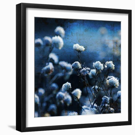 Blue Bouquet-Philippe Sainte-Laudy-Framed Photographic Print