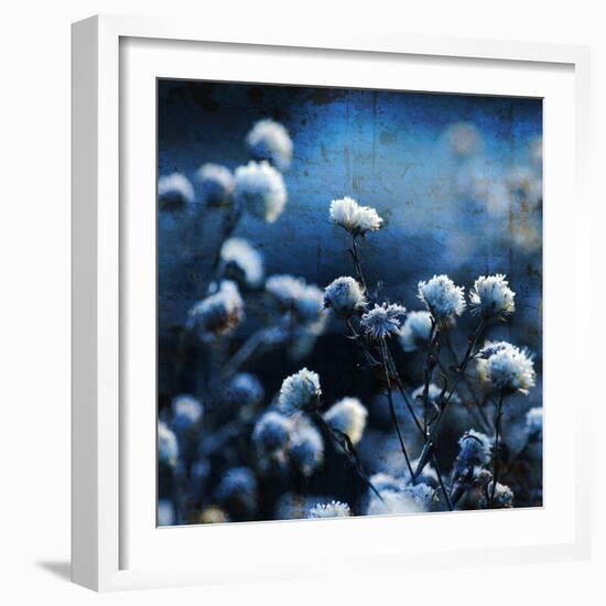 Blue Bouquet-Philippe Sainte-Laudy-Framed Photographic Print