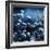 Blue Bouquet-Philippe Sainte-Laudy-Framed Photographic Print