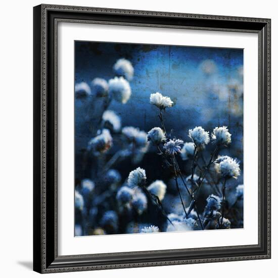 Blue Bouquet-Philippe Sainte-Laudy-Framed Photographic Print